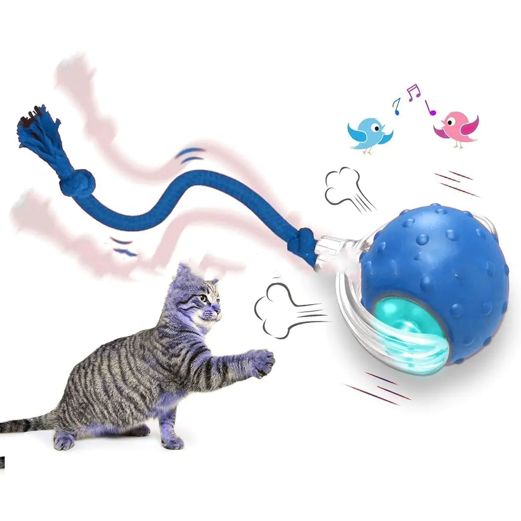 🐾 Petiygo SmartBall